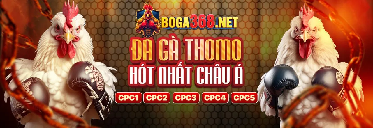 Sân gà DWIN 68 trực tuyến với trận đấu kịch tính